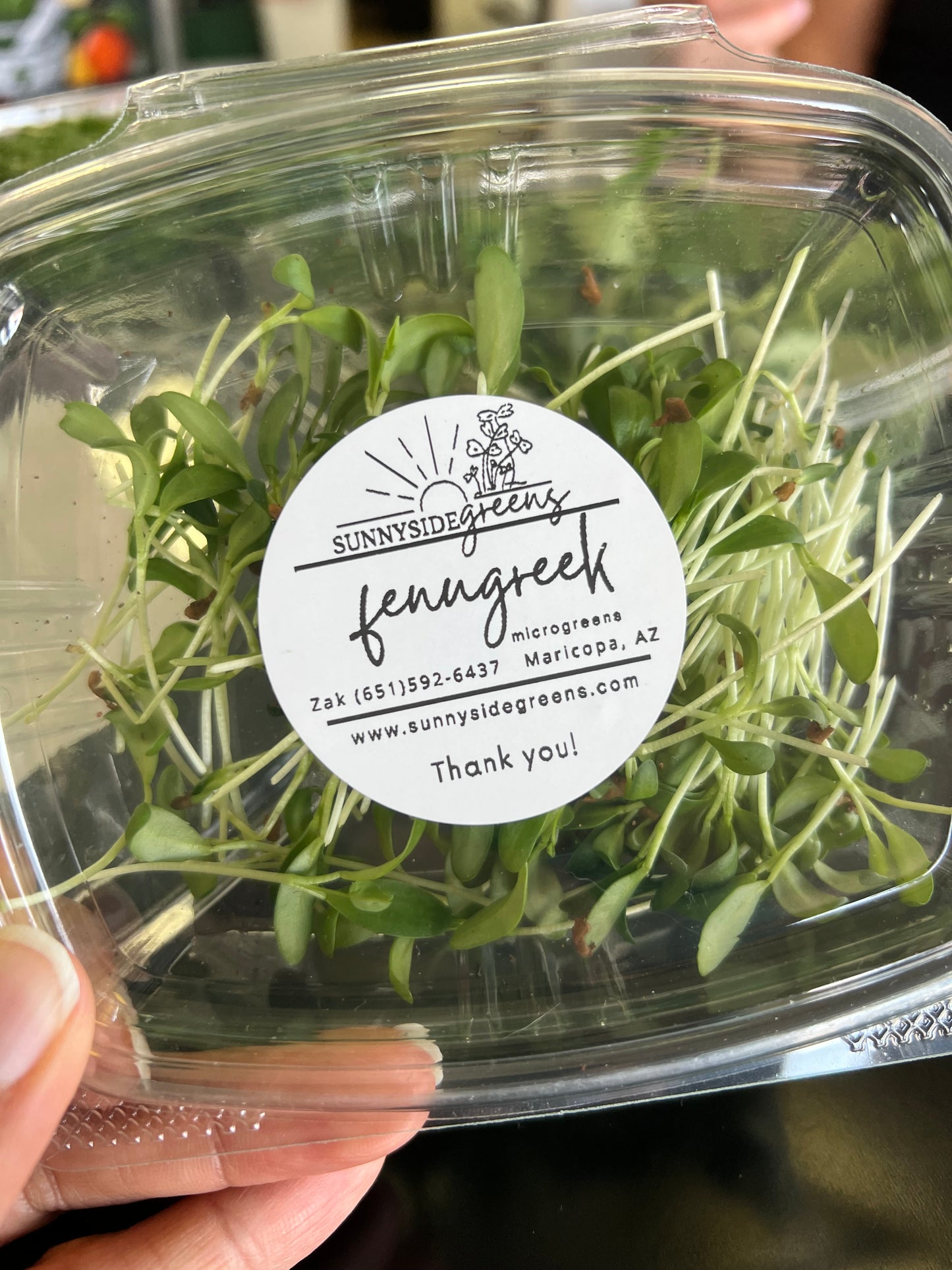🌱 Sunnyside Microgreens